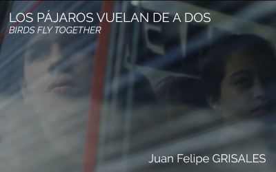 LOS PÁJAROS VUELAN DE A DOS