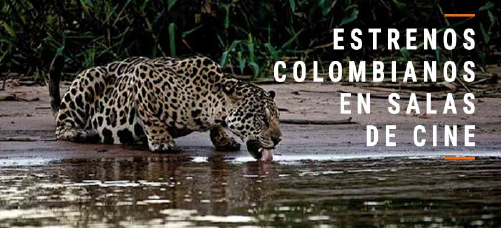 mmdd_es_fotografia_filename