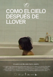 Afiche_Como el cielo después de llover.png