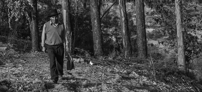 Encabezado_1_No titulo