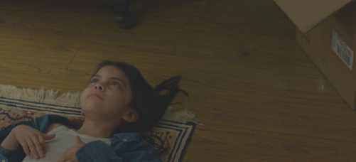 Nota secundaria 2_Colombia en el Festival de Florianopolis