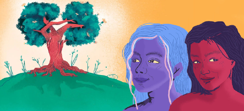 Nota Secundaria 1_Médula