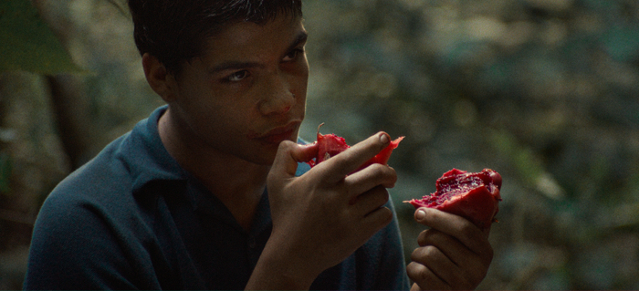 Nota Secundaria 3_Cine frances