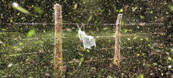 Nota secundaria 2_ZINEBI y premios TAL