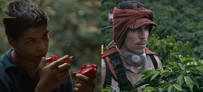 Nota secundaria 3_Estrenos francia