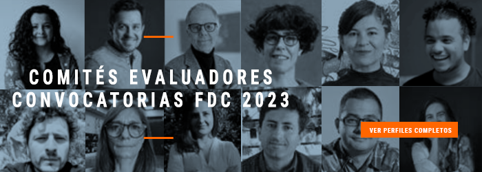 Comités evaluadores premiación FDC boletin