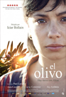 el-olivo.jpg