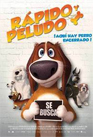 rapido.jpg