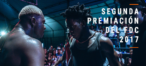 FDCPREMIACION2017