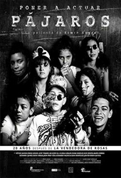 pajaros