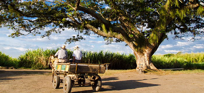 Encabezadokinetoscopio