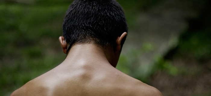 Encabezado_1-La-Jauría