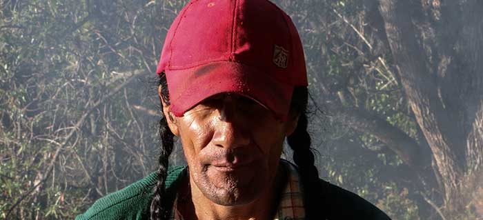 Encabezado_Maria_filbo