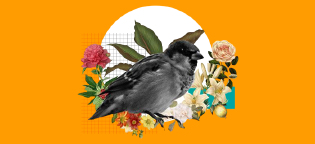 Nota Secundaria 1_Cineposium