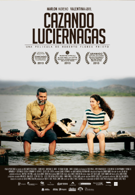 CAZANDO LUCIÉRNAGAS