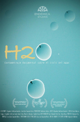 H2O