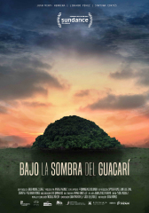 BAJO LA SOMBRA DEL GUACARÍ